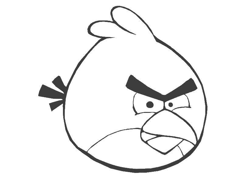 Название: Раскраска Птичка из angry birds. Категория: Персонаж из игры. Теги: Игры, "Angry Birds".