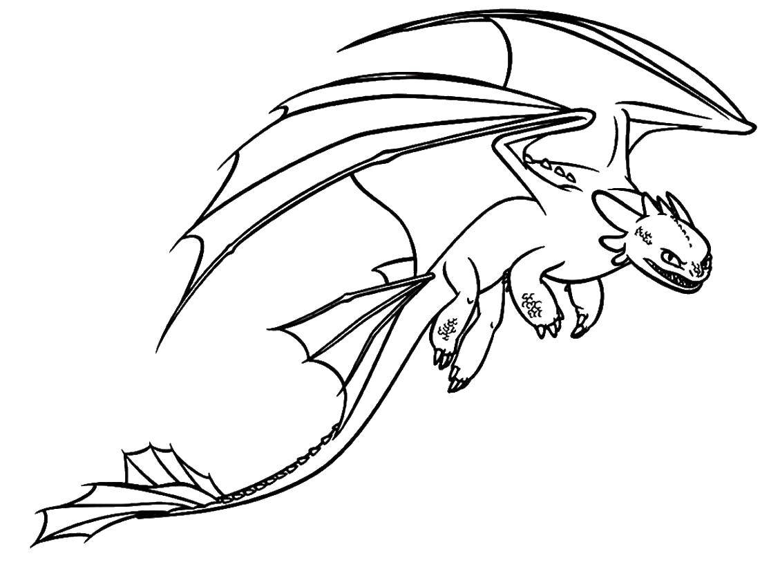 Coloring Flying dragon. Category Dragons. Tags:  Dragons.