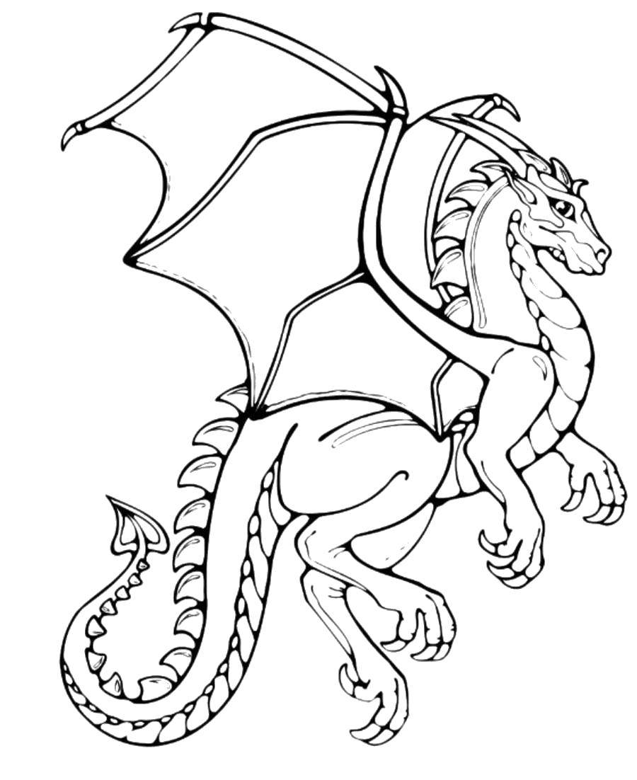 Название: Раскраска Средневековый дракон. Категория: Драконы. Теги: Драконы.