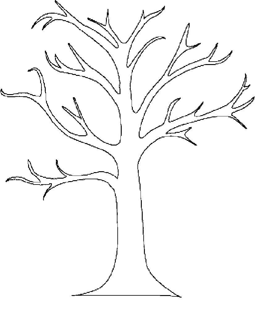Coloring Tree without leaves. Category The contours of the leaves. Tags:  tree.