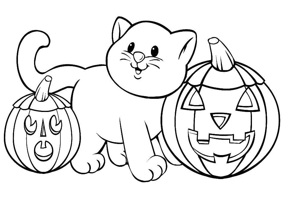 Название: Раскраска Кот с тыквами. Категория: Хэллоуин. Теги: Хэллоуин, тыква, кот.