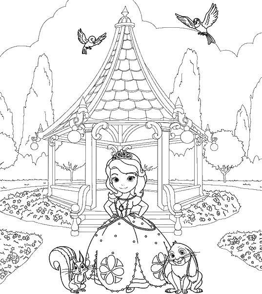 Coloring Princess. Category The characters from fairy tales. Tags:  Princess , dress, birds, rabbit, squirrel.