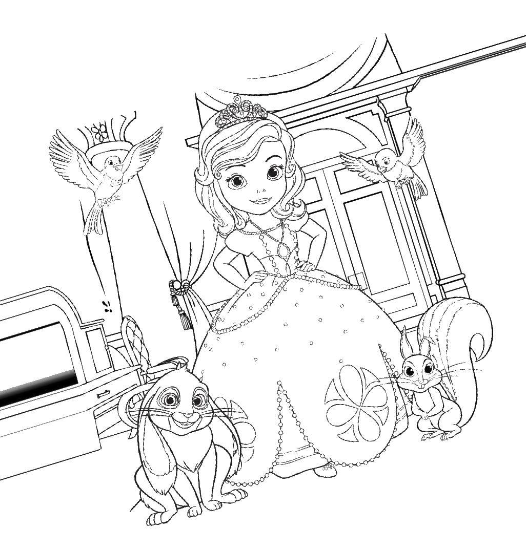 Coloring Cinderella and the animals. Category The characters from fairy tales. Tags:  coach, rabbit, squirrel, Cinderella.