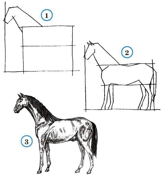 Название: Раскраска Поэтапно рисуем коня. Категория: как нарисовать поэтапно животных. Теги: Животные, конь.