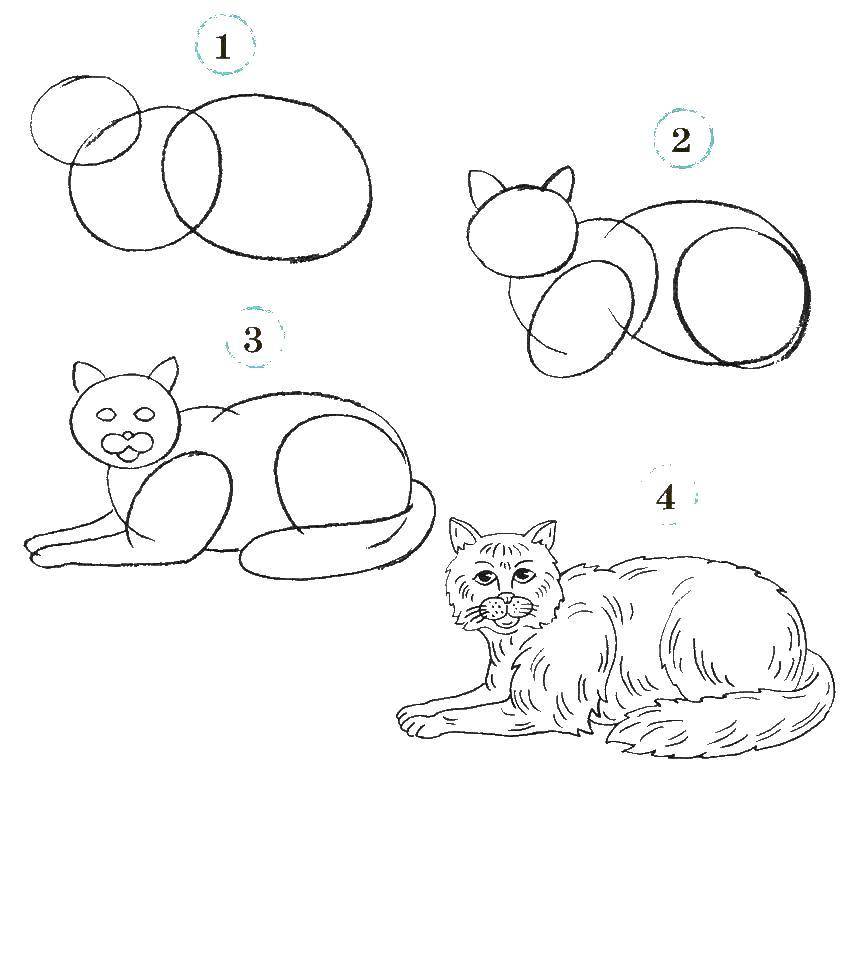 Название: Раскраска Поэтапно рисуем кота. Категория: как нарисовать поэтапно животных. Теги: Животные, кот.