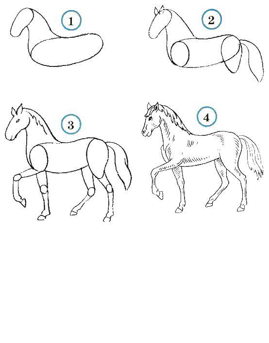 Название: Раскраска Поэтапно рисуем лошадь. Категория: как нарисовать поэтапно животных. Теги: Животные, лошадь.