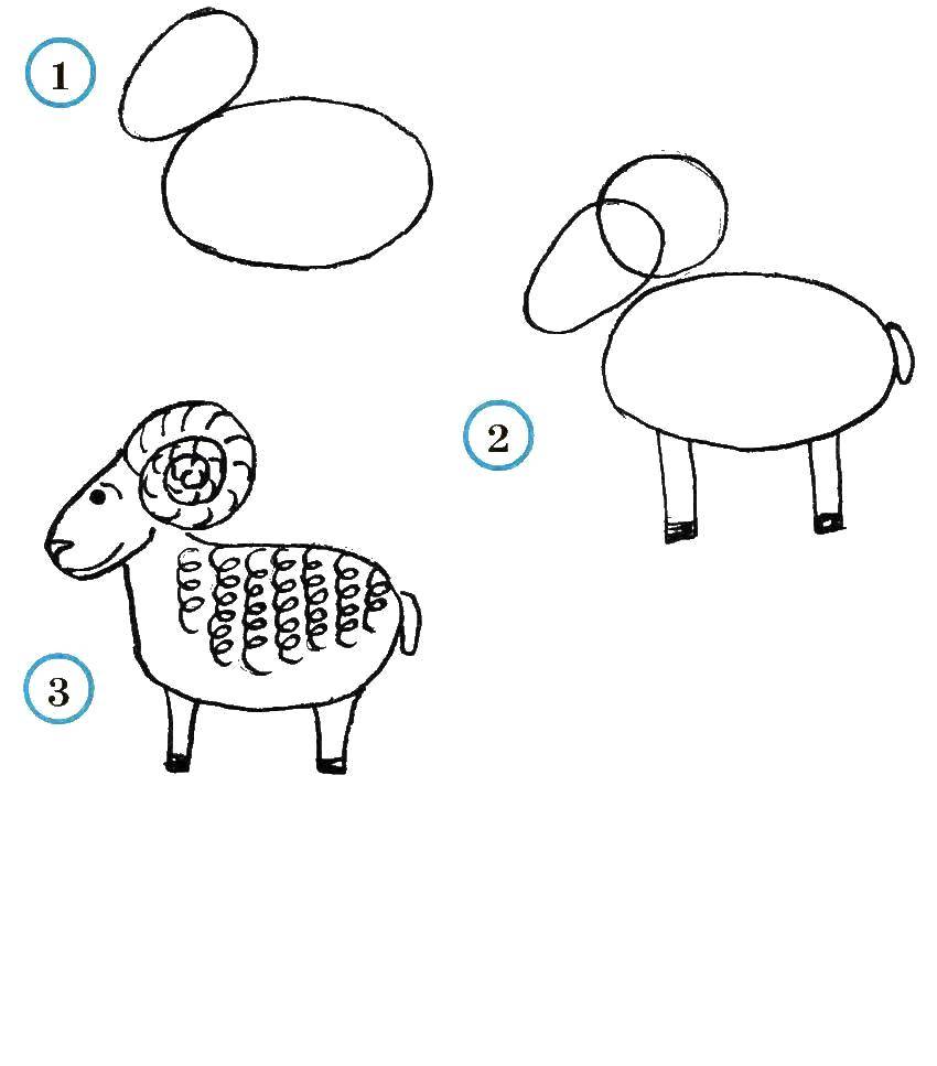 Название: Раскраска Учимся рисовать барашка. Категория: как нарисовать поэтапно животных. Теги: Животные, барашек.