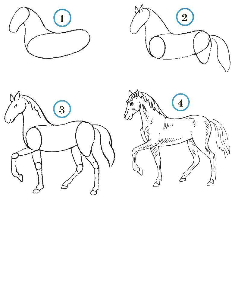Название: Раскраска Учимся рисовать лошадь. Категория: как нарисовать поэтапно животных. Теги: Животные, лошадь.