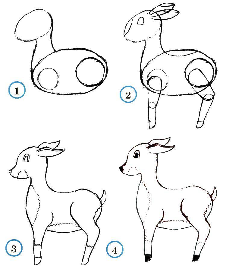 Название: Раскраска Учимся рисовать оленя. Категория: как нарисовать поэтапно животных. Теги: Животные, олень.