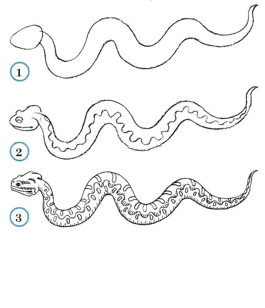 Название: Раскраска Учимся рисовать змею. Категория: как нарисовать поэтапно животных. Теги: Животные, змея.