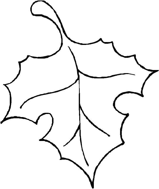 Название: Раскраска Клен. Категория: Контуры листьев. Теги: лист.