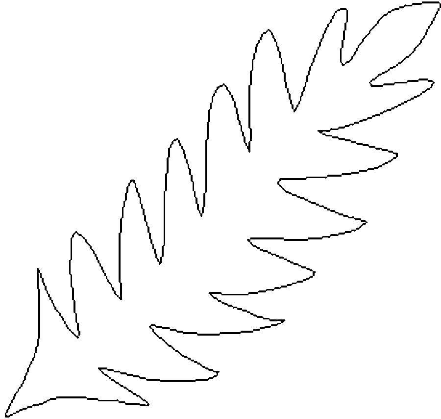 Название: Раскраска Лист цикорий. Категория: Контуры листьев. Теги: листья.