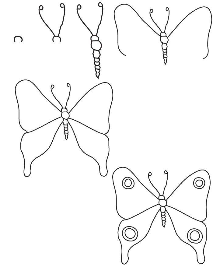Название: Раскраска Поэтапно рисуем бабочку. Категория: как нарисовать поэтапно животных. Теги: Бабочка.