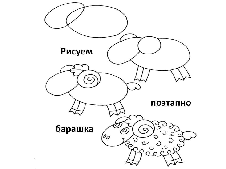Coloring Gradually draw lamb. Category how to draw an animal in stages. Tags:  Animals, lamb.