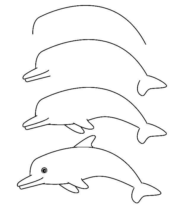 Название: Раскраска Поэтапно рисуем дельфина. Категория: как нарисовать поэтапно животных. Теги: Животные, дельфин.