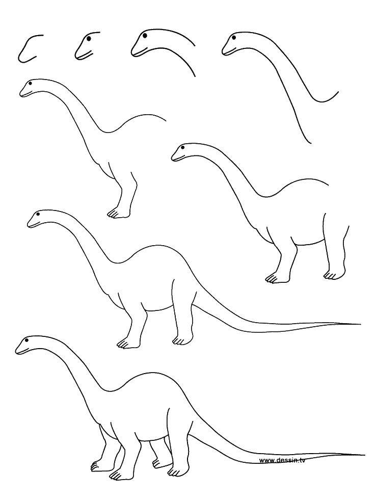 Название: Раскраска Поэтапно рисуем динозавра. Категория: как нарисовать поэтапно животных. Теги: Динозавры.