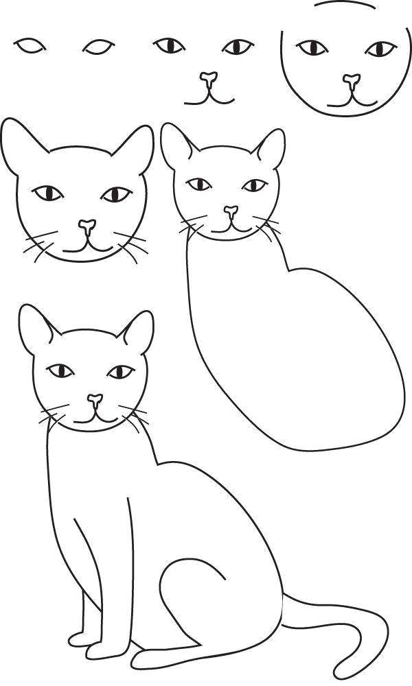 Раскраски Раскраска Поэтапно рисуем кота как нарисовать поэтапно животных,  скачать распечатать раскраски.