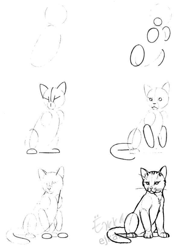 Название: Раскраска Поэтапно рисуем кота. Категория: как нарисовать поэтапно животных. Теги: Животные, кот.