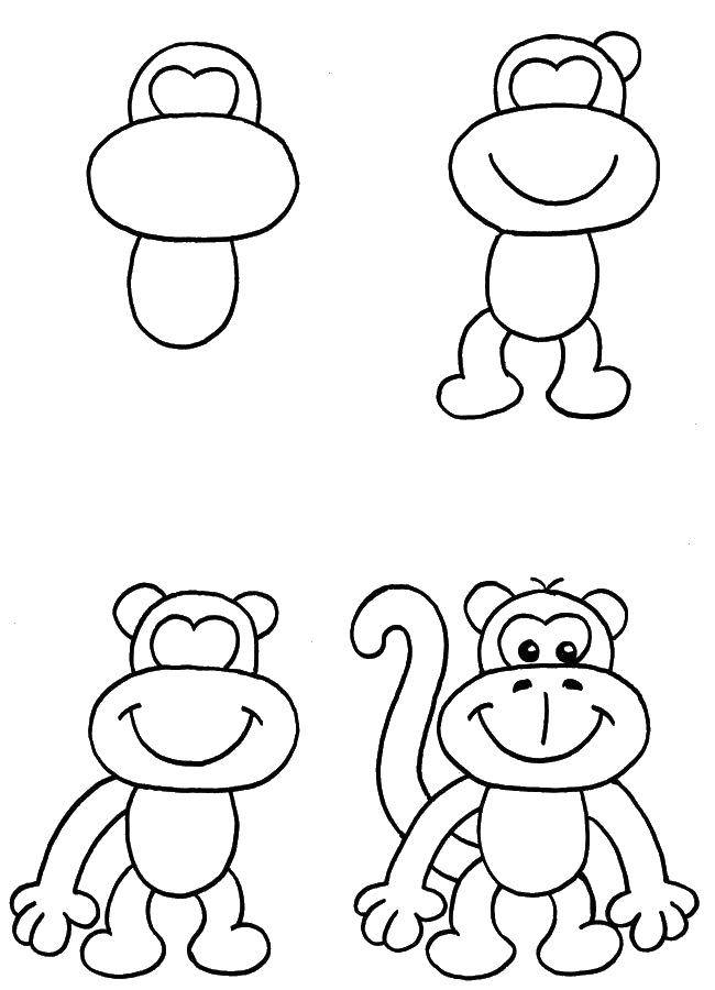 Название: Раскраска Поэтапно рисуем обезьянку. Категория: как нарисовать поэтапно животных. Теги: Животные, обезьянка.