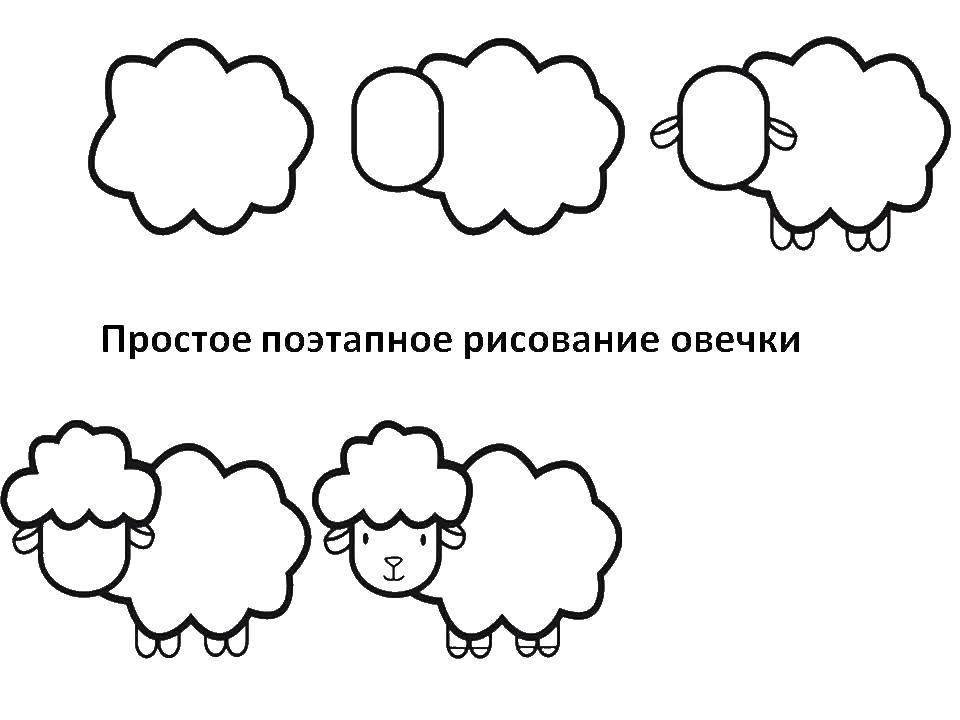 Coloring Gradually draw the sheep. Category how to draw an animal in stages. Tags:  Animals, sheep.