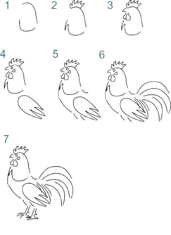 Coloring Gradually draw cock. Category how to draw an animal in stages. Tags:  Birds, cock.