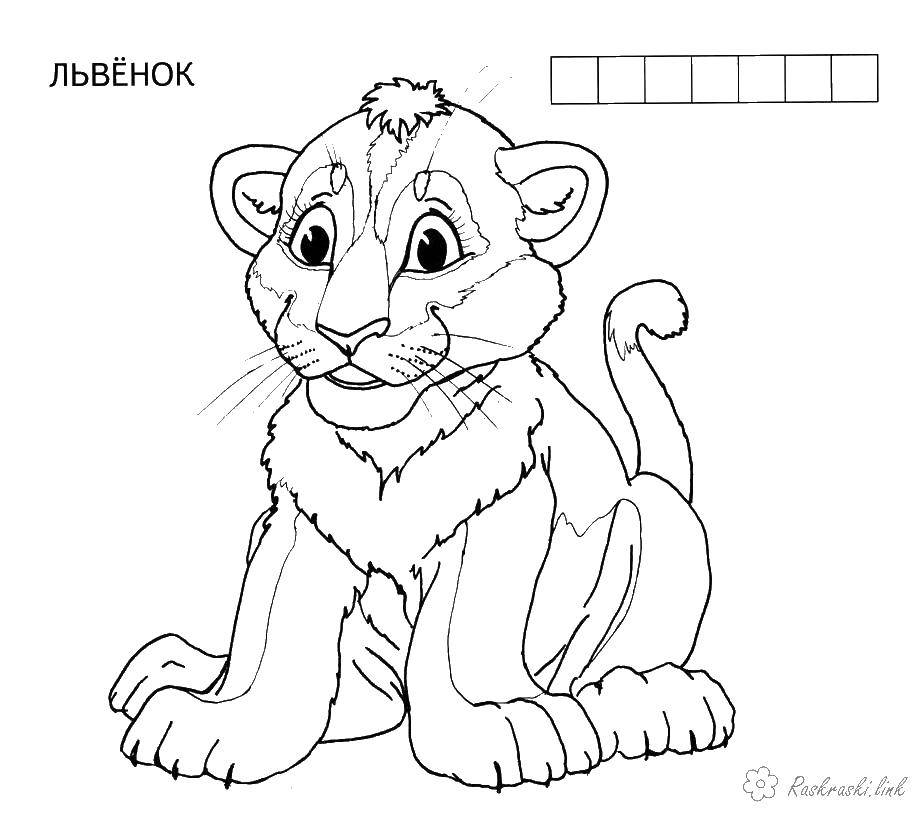 Coloring Lion. Category wild animals. Tags:  lion animal.