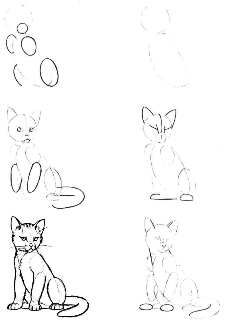 Coloring Gradually draw the cat. Category how to draw an animal in stages. Tags:  Animals, cat.