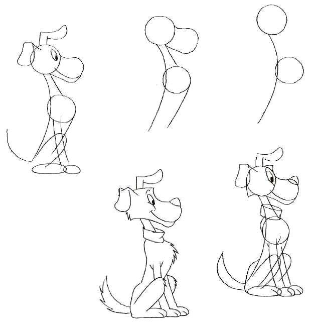Coloring Gradually draw the dog. Category how to draw an animal in stages. Tags:  Animals, dog.