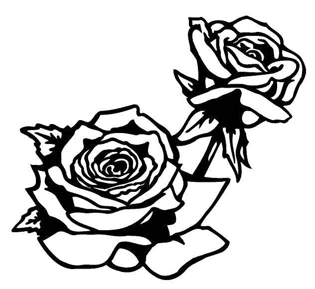 Coloring Roses. Category flowers. Tags:  Flowers, roses.
