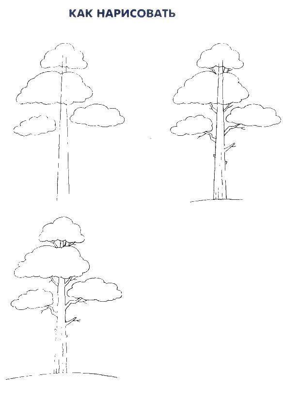 Розмальовки  Поетапно малюємо дерево. Завантажити розмальовку Ліс, дерево, сонце.  Роздрукувати ,як намалювати поетапно,