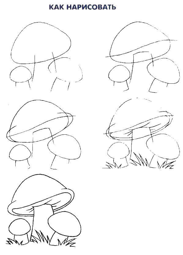 Название: Раскраска Поэтапно рисуем грибы. Категория: как нарисовать поэтапно. Теги: Грибочек.