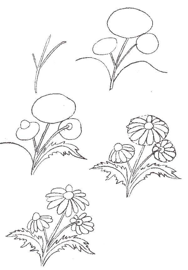 Coloring Gradually draw the flowers. Category how to draw step by step bunch of flowers. Tags:  Flowers.