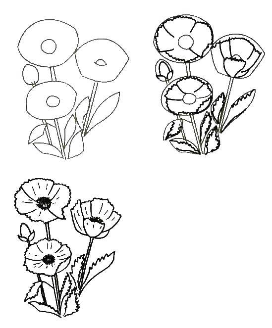 Coloring Gradually draw the flowers. Category how to draw step by step flowers. Tags:  Flowers.