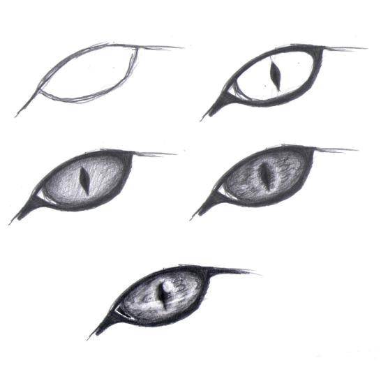 Coloring Gradually draw the eyes. Category how to draw by stages in pencil. Tags:  Eyes, cat.