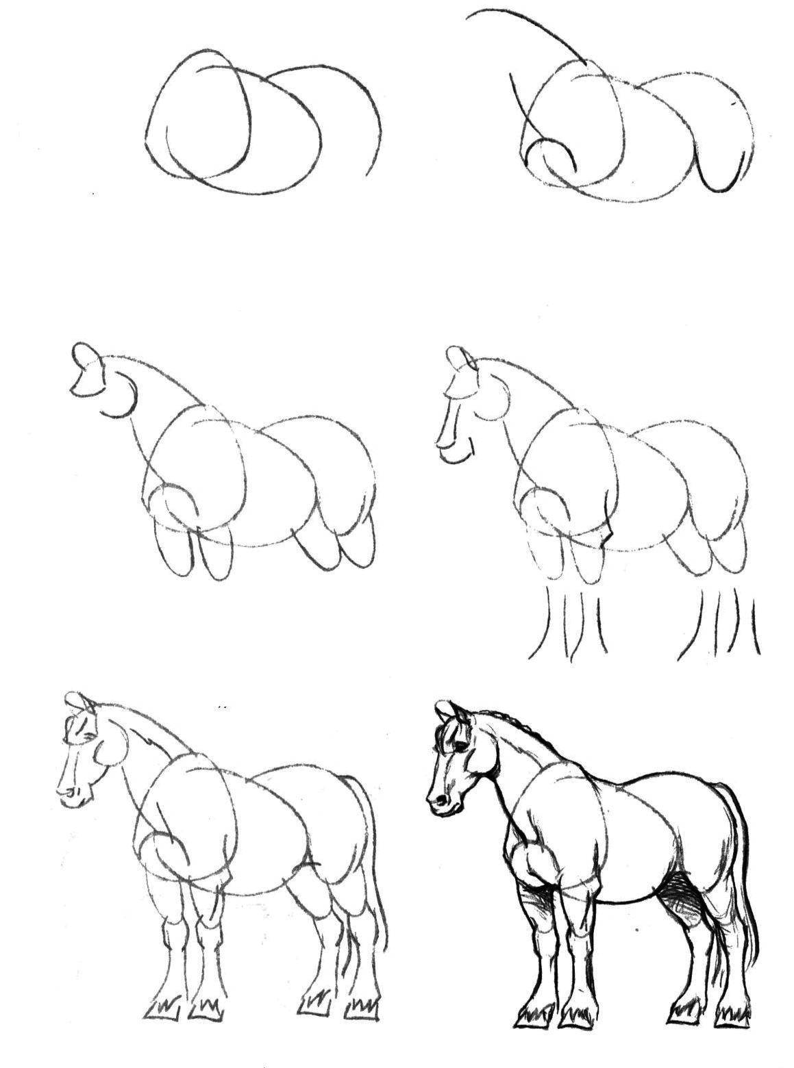 Как начать рисовать. Рисунок карандашом пошагово. Пошаговое рисование коня. Рисование лошади пошагово. Поэтапные рисунки животных карандашом.
