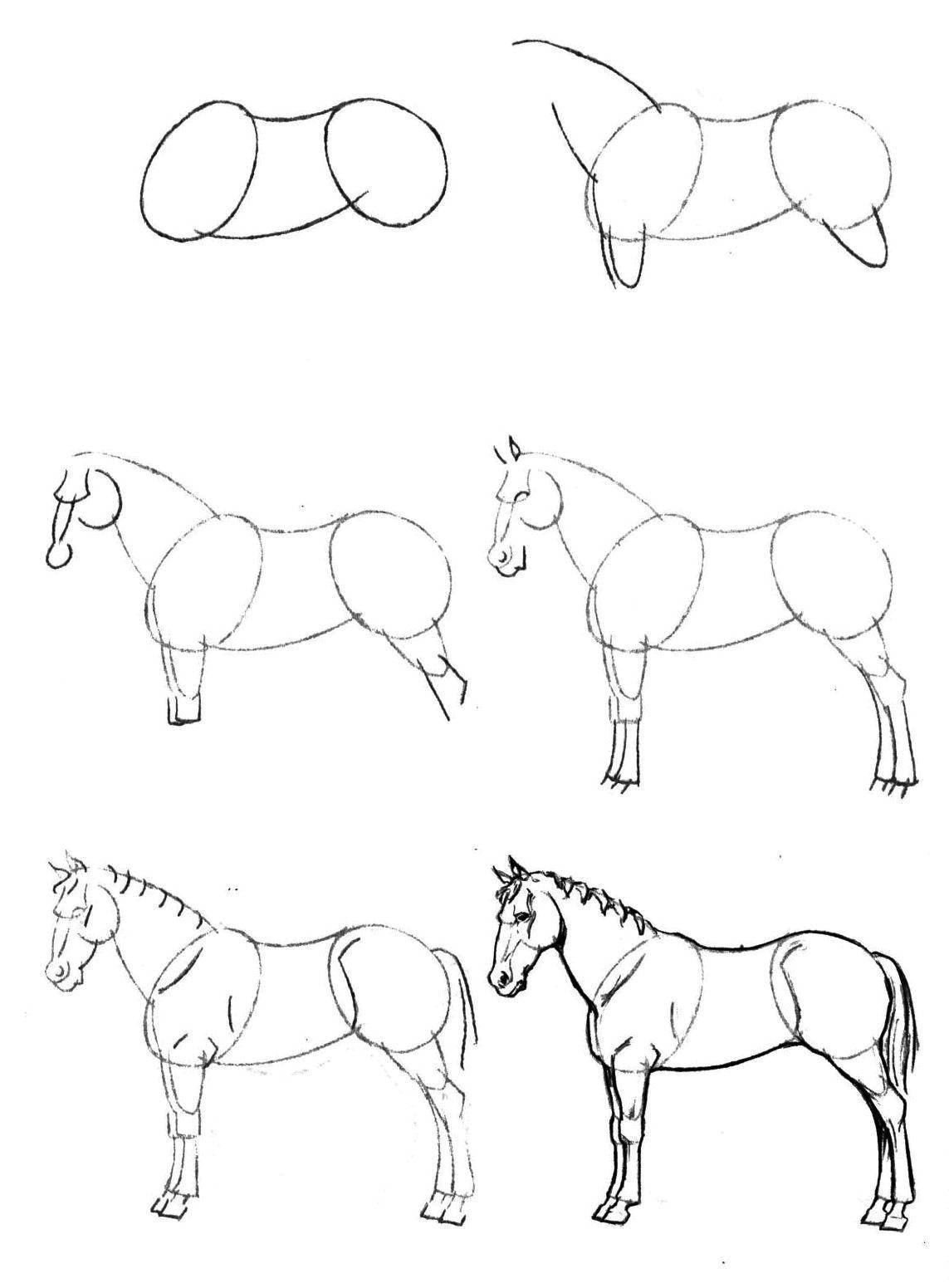 Название: Раскраска Поэтапно рисуем лошадь. Категория: как нарисовать поэтапно карандашом. Теги: Животные, лошадь.