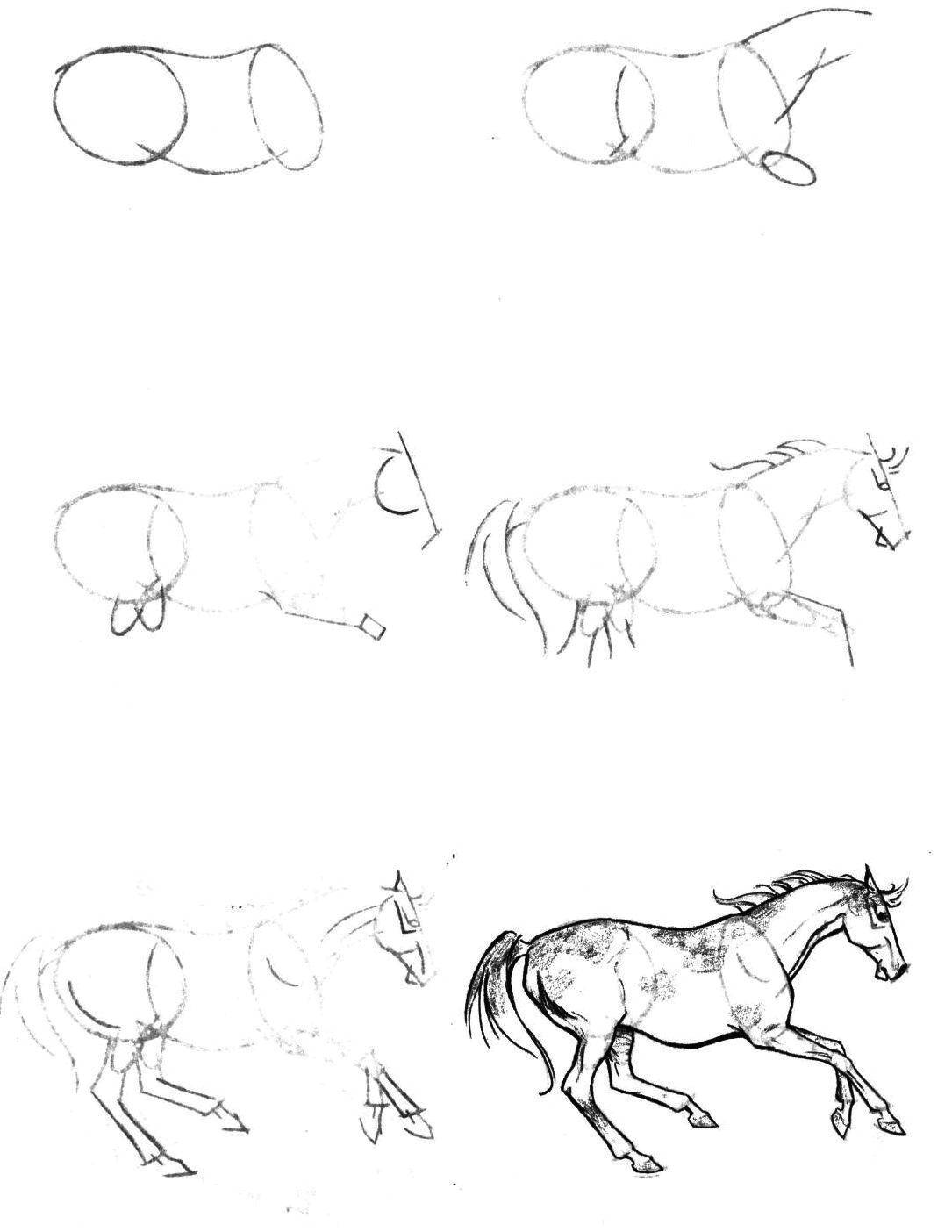 Название: Раскраска Поэтапно рисуем лошадь. Категория: как нарисовать поэтапно карандашом. Теги: Животные, лошадь.