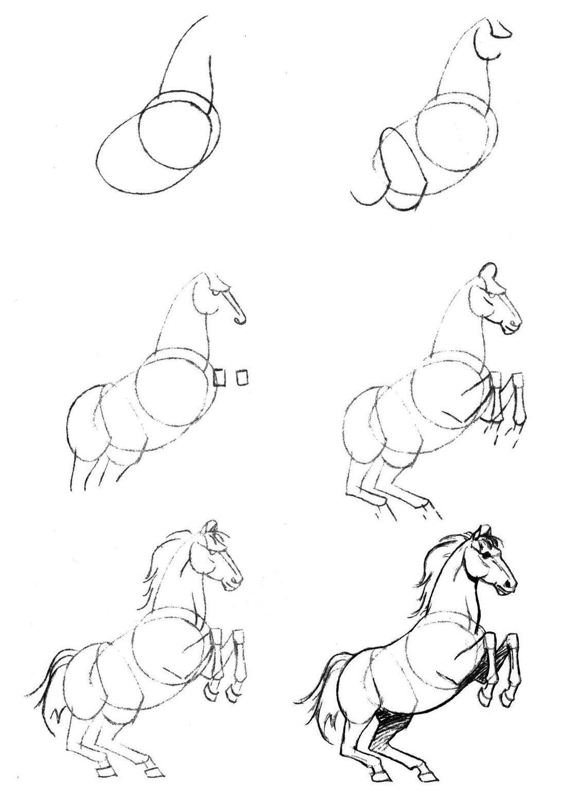 Coloring Gradually draw the horse. Category how to draw by stages in pencil. Tags:  Animals, horse.