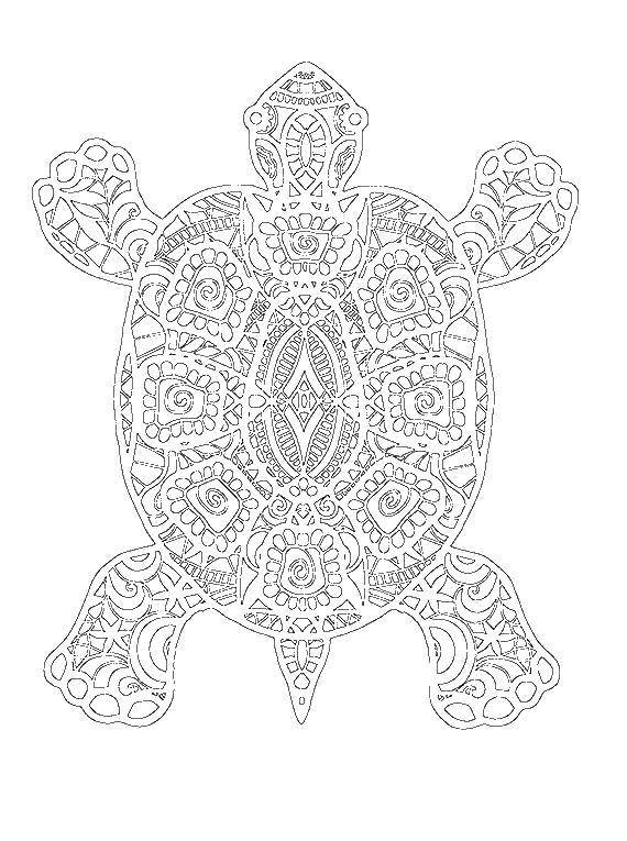 Coloring Patterned turtle. Category coloring antistress. Tags:  Patterns, animals.