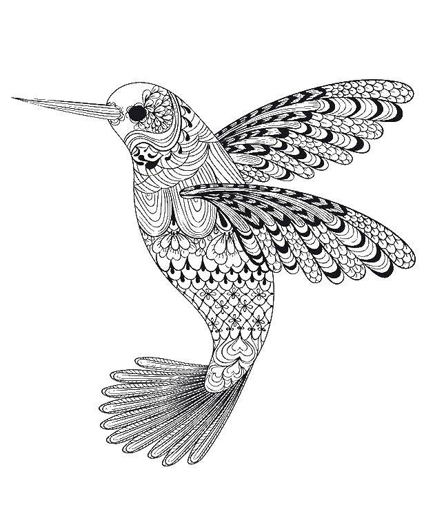 Название: Раскраска Узорная колибри. Категория: узор. Теги: Узоры, животные.
