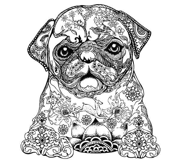 Название: Раскраска Узорная собака. Категория: узоры. Теги: Узор, животные.
