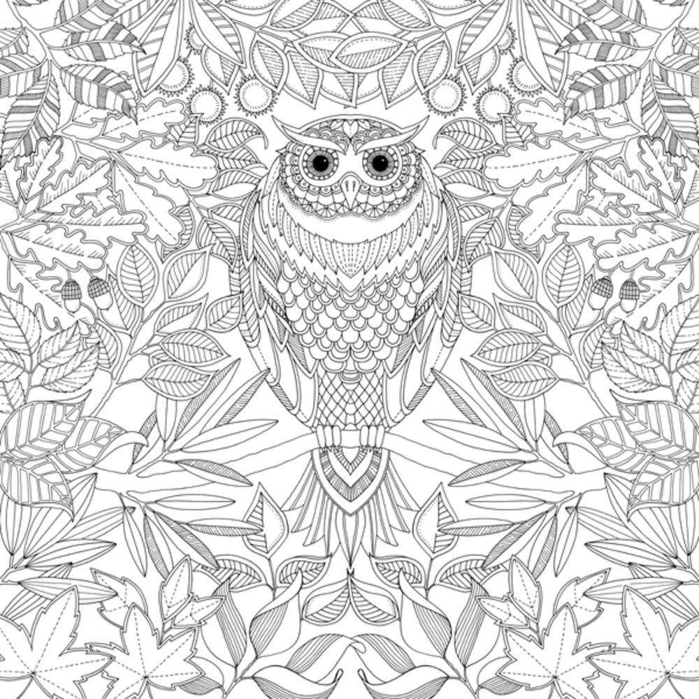 Coloring Ethnic owl. Category coloring antistress. Tags:  Patterns, animals.
