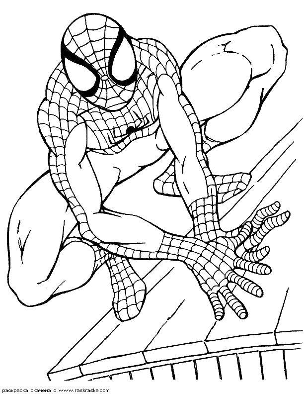 Coloring Spider-man. Category Comics. Tags:  Comics, Spider-Man, Spider-Man.