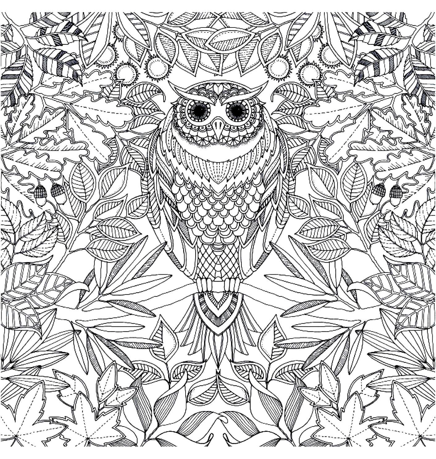 Coloring Ethnic owl. Category patterns. Tags:  Patterns, ethnic.