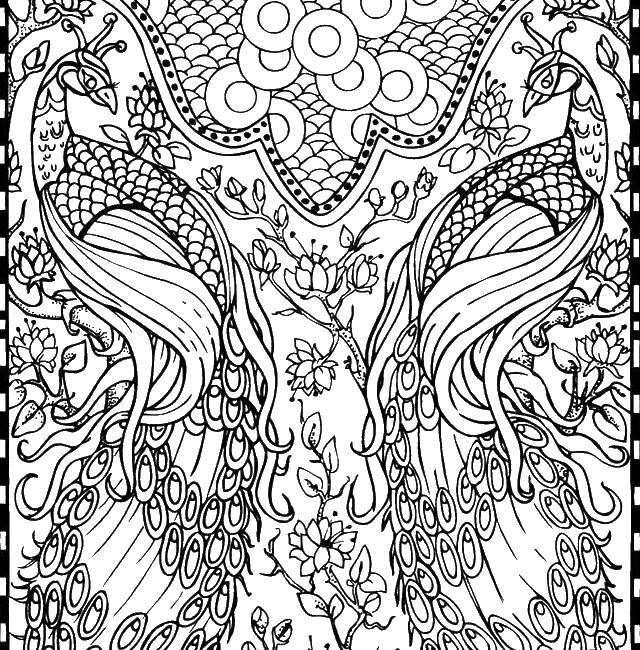 Coloring Peacocks in the patterns. Category patterns. Tags:  Patterns, geometric.
