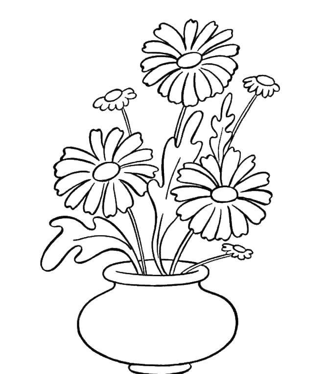 Название: Раскраска Ромашки в вазе. Категория: цветы. Теги: Цветы, букет, ваза.