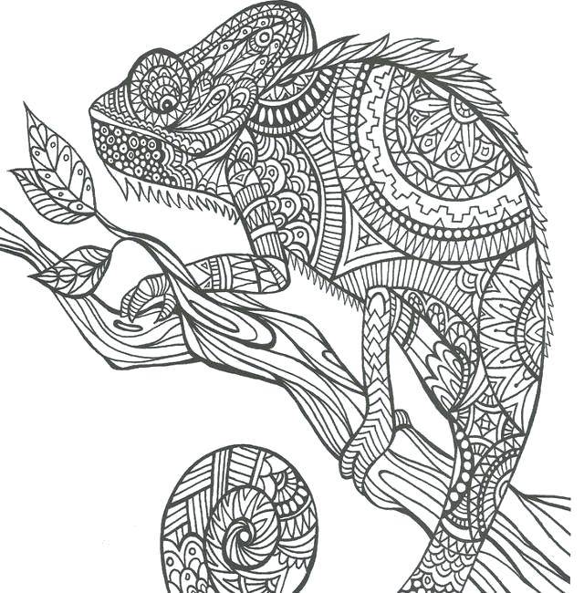 Название: Раскраска Узорный хамелеон на ветке. Категория: узор. Теги: Рептилия, хамелеон.