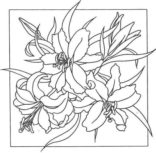 Coloring Lily. Category flowers. Tags:  Flowers, Lily.