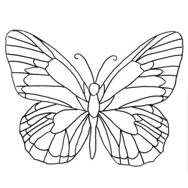 Название: Раскраска Разукрась крылья бабочки. Категория: бабочка. Теги: Бабочка.