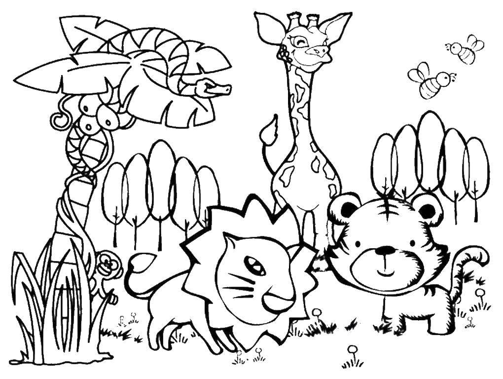 Coloring Animals. Category wild animals. Tags:  animals.